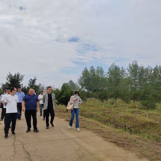 揚州自然資源局和農(nóng)業(yè)農(nóng)村局領(lǐng)導(dǎo)參觀檢查